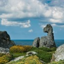 rocks near sea source image